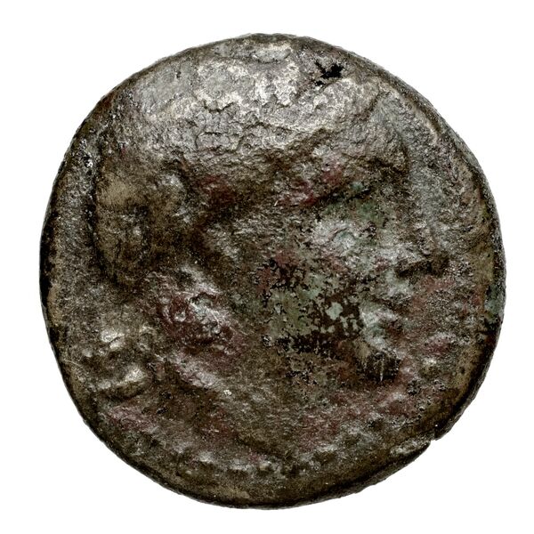 Neapolis Historia Numorum Italy 568, аверс, bnf-iris