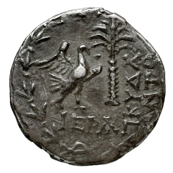 Neapolis Historia Numorum Italy 569, реверс, bnf-iris