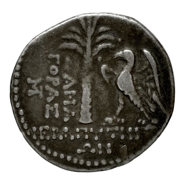 реверс Neapolis Historia Numorum Italy 602
