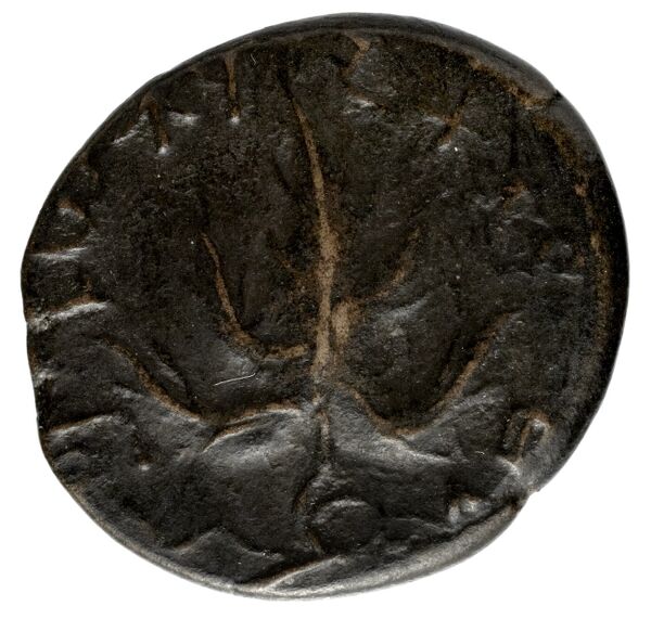 Neapolis Historia Numorum Italy 584, реверс, bnf-iris