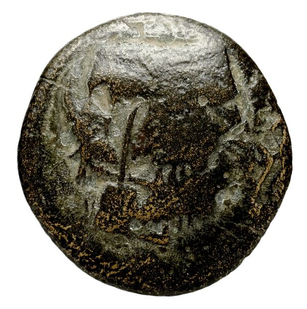 Neapolis Historia Numorum Italy 585, аверс, bnf-iris