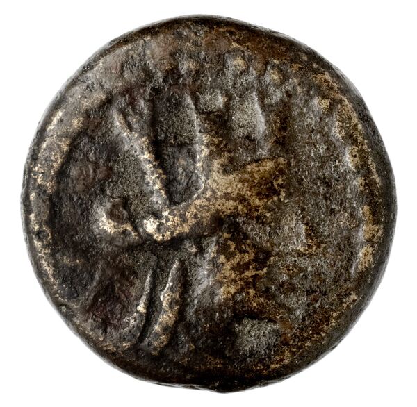 Neapolis Historia Numorum Italy 582, аверс, bnf-iris