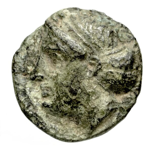 Pyrrha BMC Pyrrha 1-3, аверс, bnf-iris