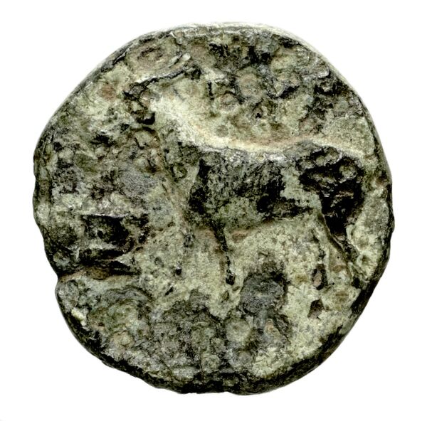 Pyrrha BMC Pyrrha 1-3, реверс, bnf-iris