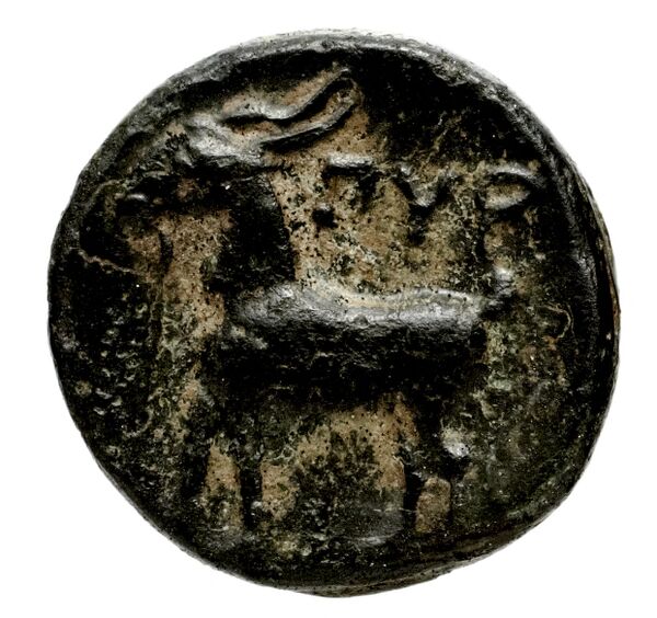 Pyrrha BMC Pyrrha 1-3, реверс, bnf-iris