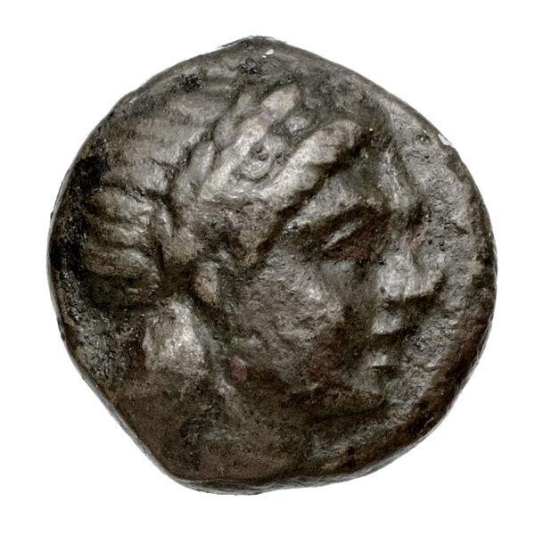 Neapolis Historia Numorum Italy 582, аверс, bnf-iris