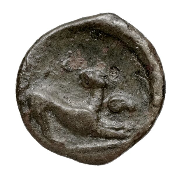 Neapolis Historia Numorum Italy 582, реверс, bnf-iris