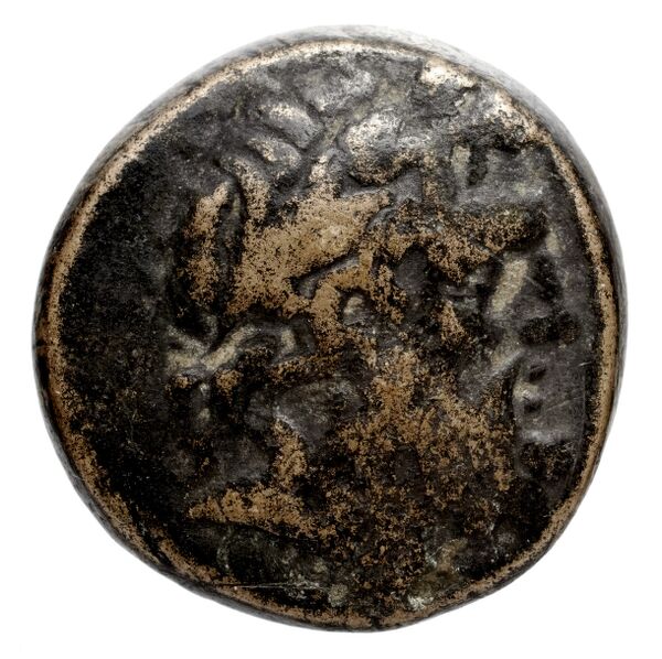 Neapolis Historia Numorum Italy 582, аверс, bnf-iris