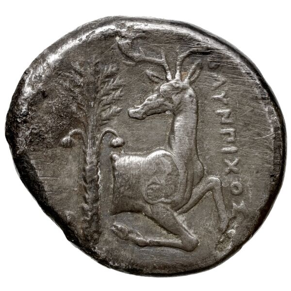 Temnus BMC Temnus 8, реверс, bnf-iris