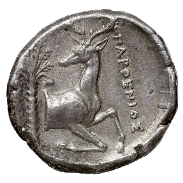 Temnus BMC Temnus 10, реверс, bnf-iris