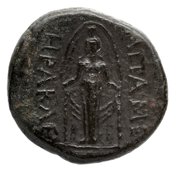 Temnus BMC Temnus 10, реверс, bnf-iris
