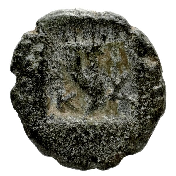 Temnus BMC Temnus 10, реверс, bnf-iris