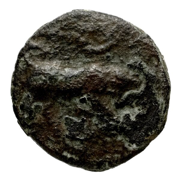Neapolis Historia Numorum Italy 582, аверс, bnf-iris