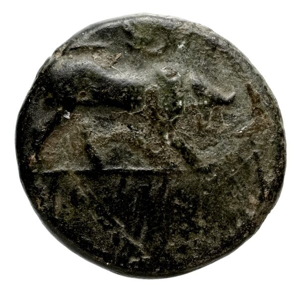 Neapolis Historia Numorum Italy 582, аверс, bnf-iris