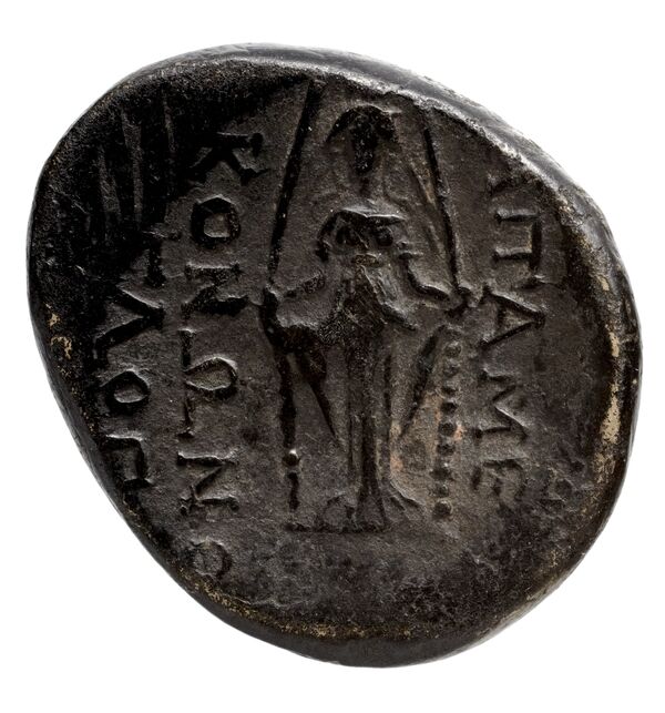 реверс Temnus SNG Copenhagen Temnus 262