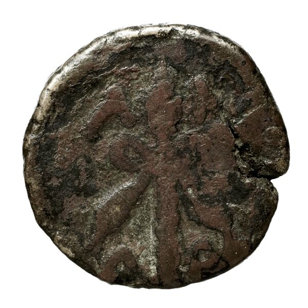 Aspendus Tekin 2000 Series 1, реверс, bnf-iris