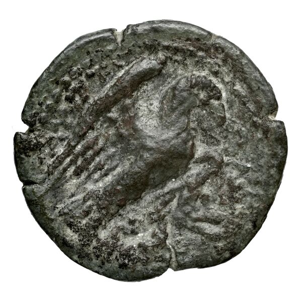 Lyttus Svoronos 1890 (1972) 75-82, реверс, bnf-iris