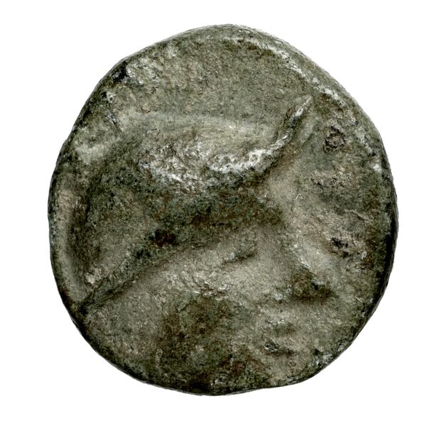 Lyttus Svoronos 1890 (1972) 87, аверс, bnf-iris