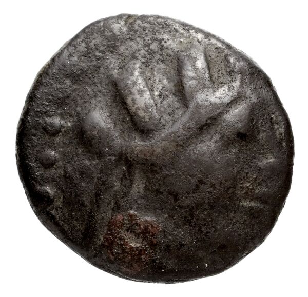 Neapolis Historia Numorum Italy 583, аверс, bnf-iris