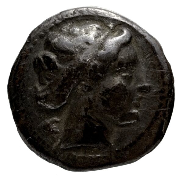 Neapolis Historia Numorum Italy 583, аверс, bnf-iris