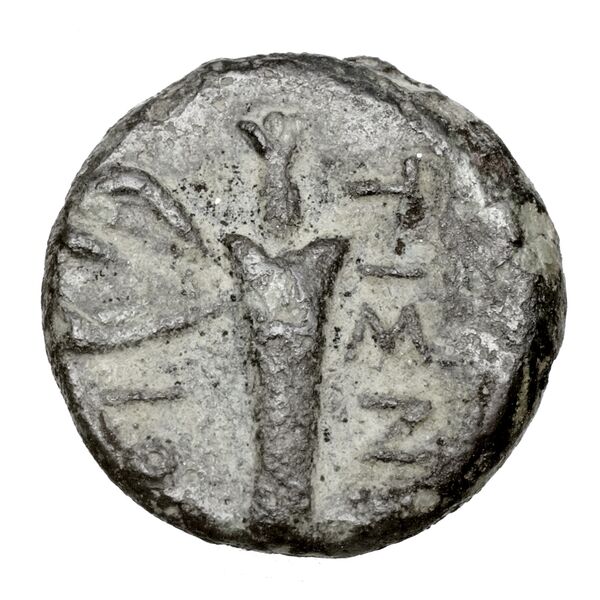 Neapolis Historia Numorum Italy 583, реверс, bnf-iris