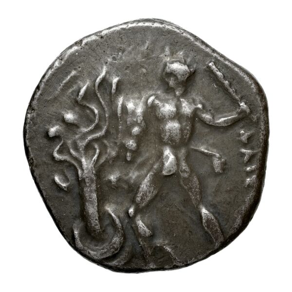 Neapolis Historia Numorum Italy 583, аверс, bnf-iris