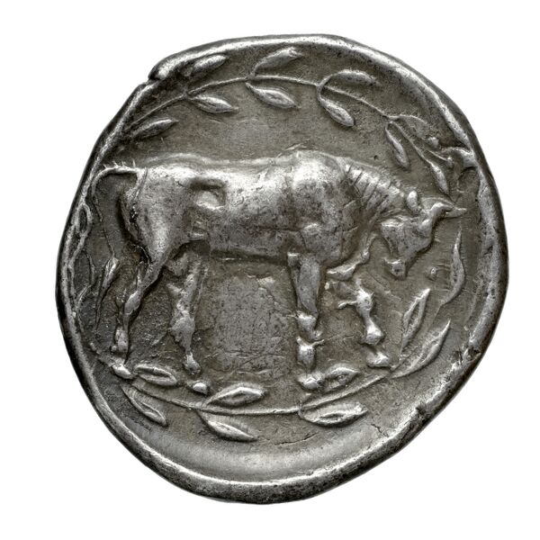 Neapolis Historia Numorum Italy 592, реверс, bnf-iris