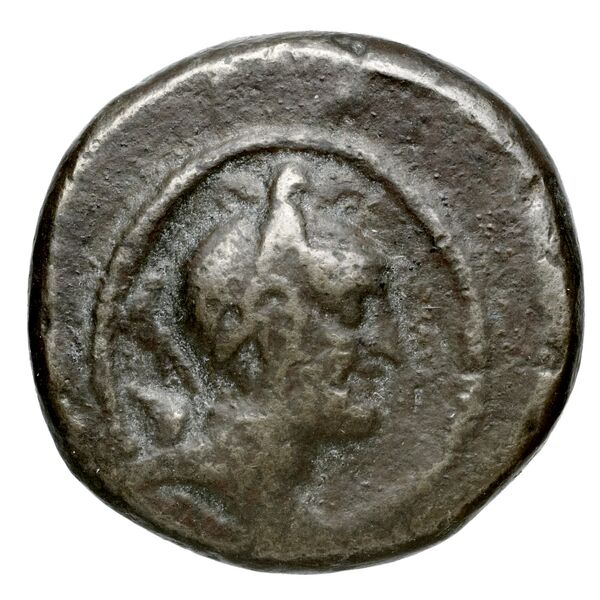 Neapolis Historia Numorum Italy 592, аверс, bnf-iris