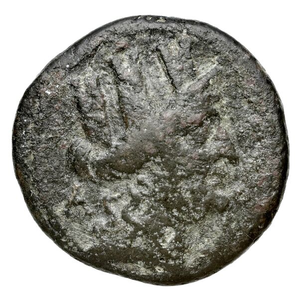 Neapolis Historia Numorum Italy 592, аверс, bnf-iris