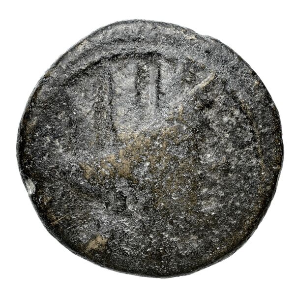 Neapolis Historia Numorum Italy 592, аверс, bnf-iris