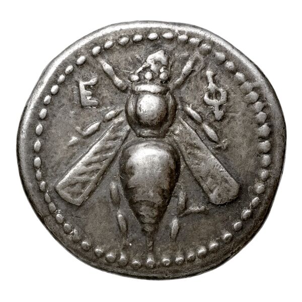 Neapolis Historia Numorum Italy 592, аверс, bnf-iris