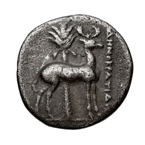 Neapolis Historia Numorum Italy 592, реверс, bnf-iris