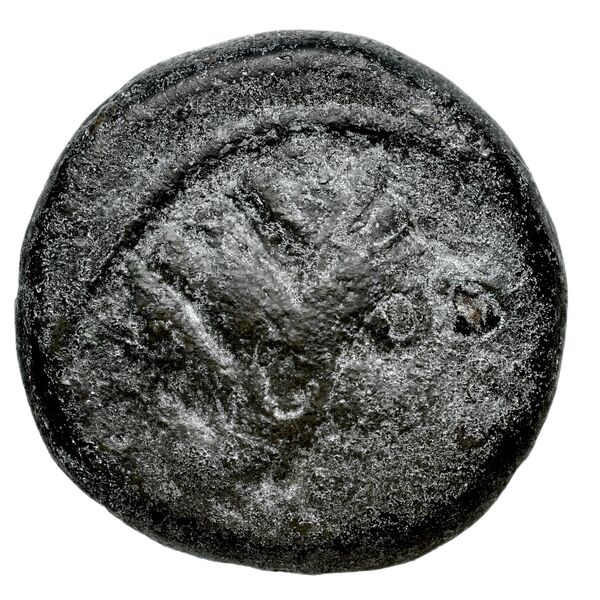 Neapolis Historia Numorum Italy 592, аверс, bnf-iris