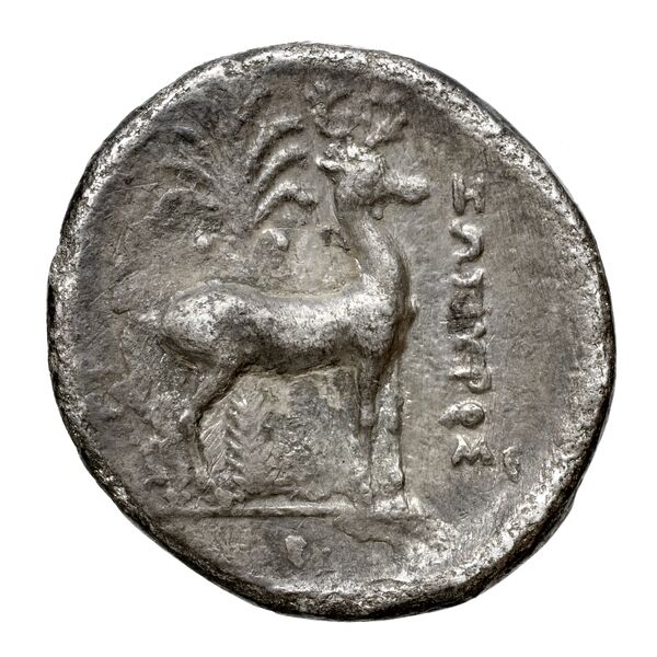 Neapolis Historia Numorum Italy 598, реверс, bnf-iris