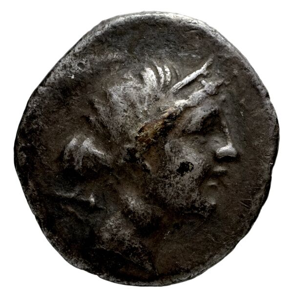 Neapolis Historia Numorum Italy 594, аверс, bnf-iris