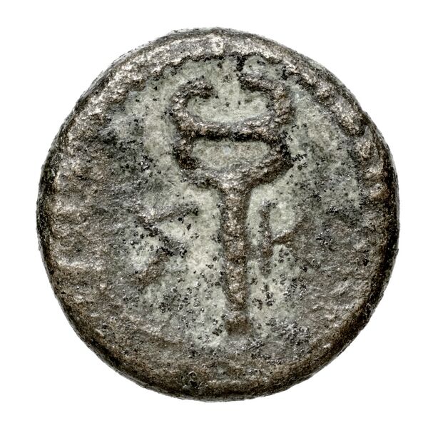 Aspendus SNG Copenhagen Aspendus 262, реверс, bnf-iris
