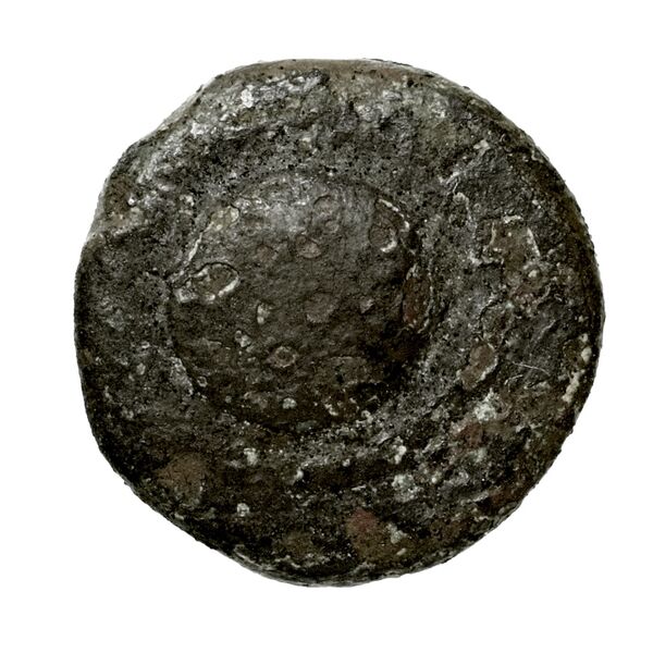 Ephesus Kinns and Holt 2023 Period IIIa, AR XVII, аверс, bnf-iris