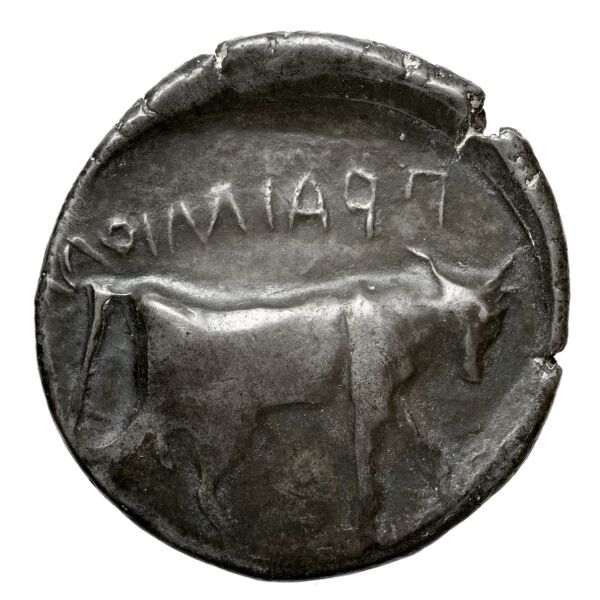 Corinth BMC Corinth 302; 415, реверс, bnf-iris