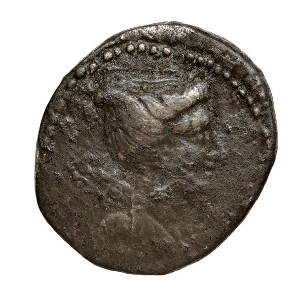 Olbia Anokhin 2011 422-32, аверс, BnF (IRIS)