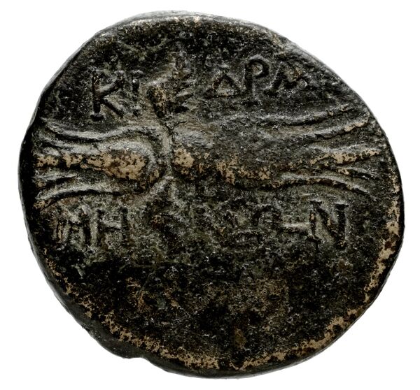 Cidramus Robert 1954 A-B, реверс, bnf-iris