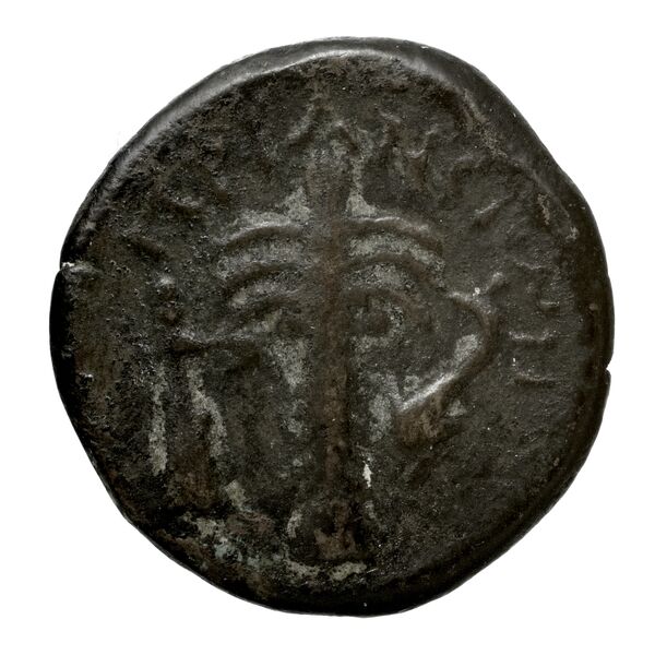 Tanagra Babelon 1907 1373, реверс, bnf-iris
