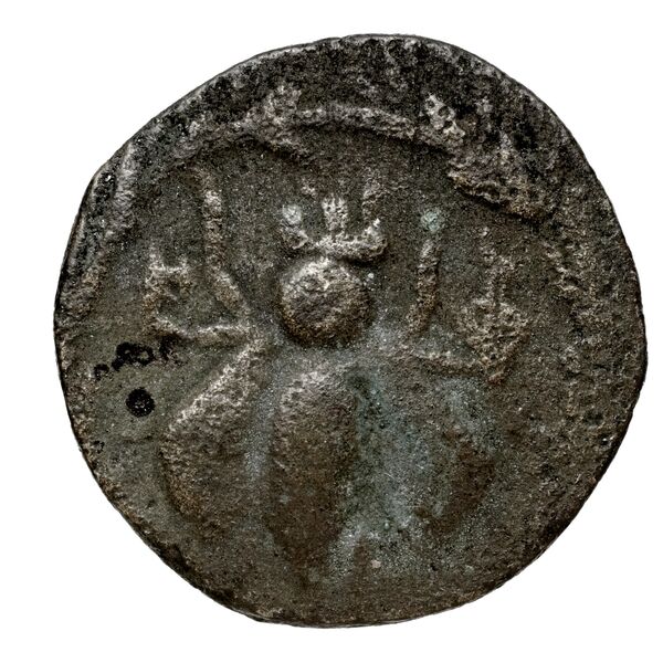 Tanagra Babelon 1914 343-351, аверс, bnf-iris