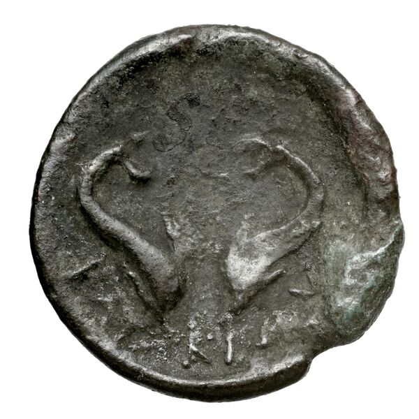 Cnidus Cahn 1970 Series VI, реверс, bnf-iris