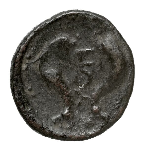 Halicarnassus BMC Halicarnassus 3-4, реверс, bnf-iris