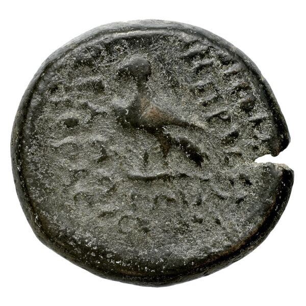 Dionysius of Heracleia Heracleia Pontica Stancomb 2009 Type 3, реверс, bnf-iris
