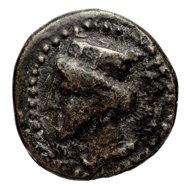Halicarnassus BMC Halicarnassus 75-80, аверс, bnf-iris