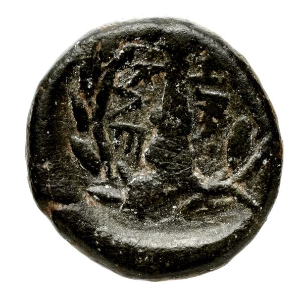 Heracleia Pontica Stancomb 2009 Type 5, реверс, bnf-iris