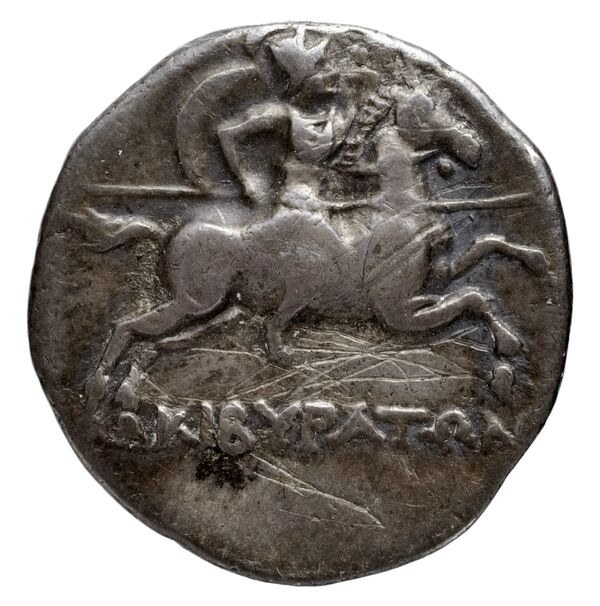Olbia Anokhin 2011 513, реверс, BnF (IRIS)