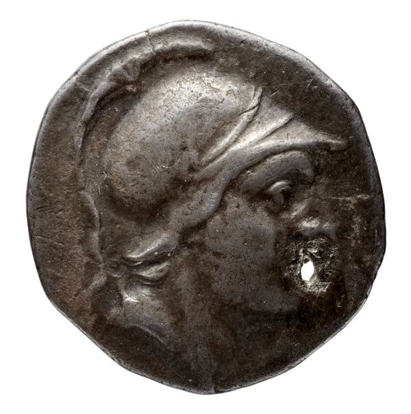Olbia Anokhin 2011 449, аверс, BnF (IRIS)