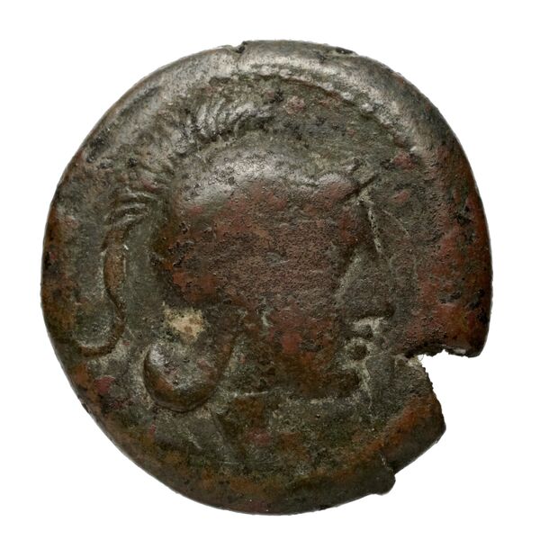 аверс Teate Historia Numorum Italy 701